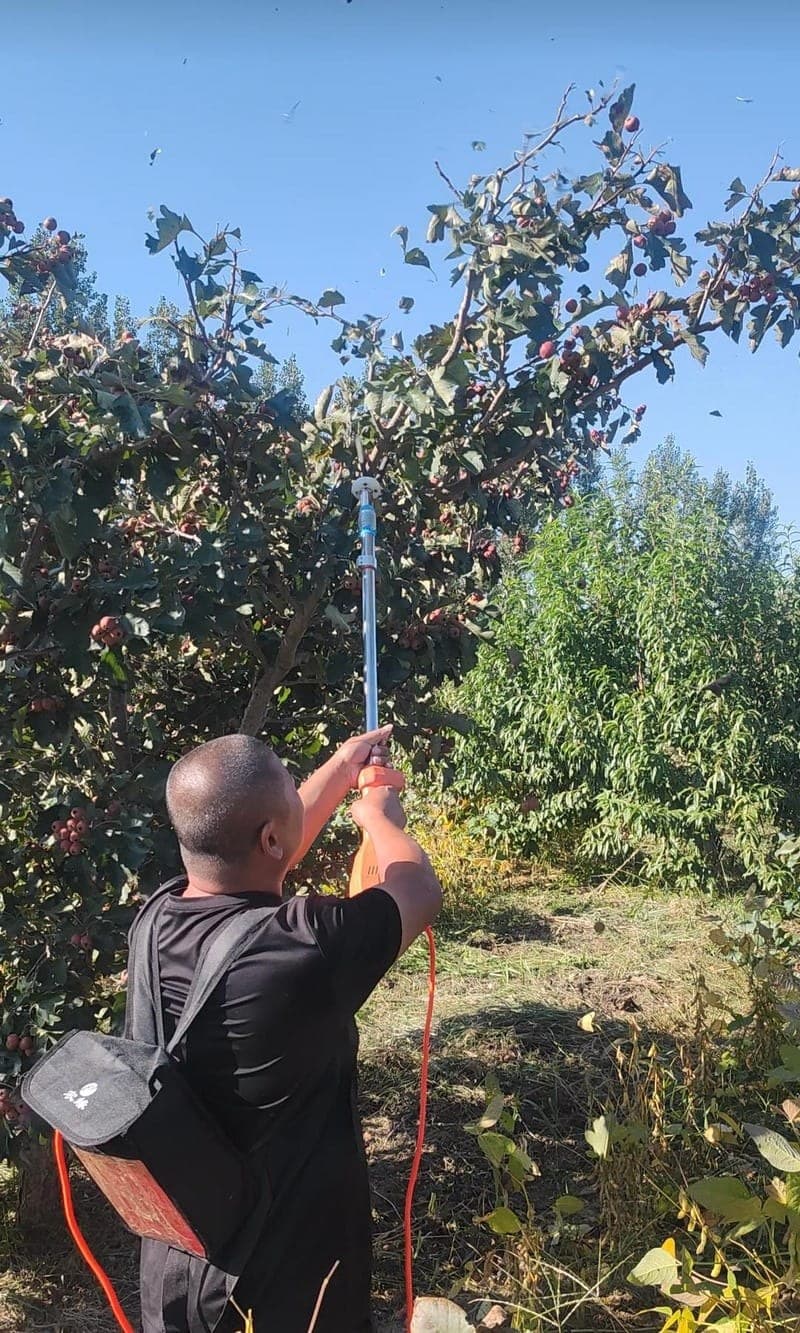 Portable fruit picker harvesting on hillside terrain