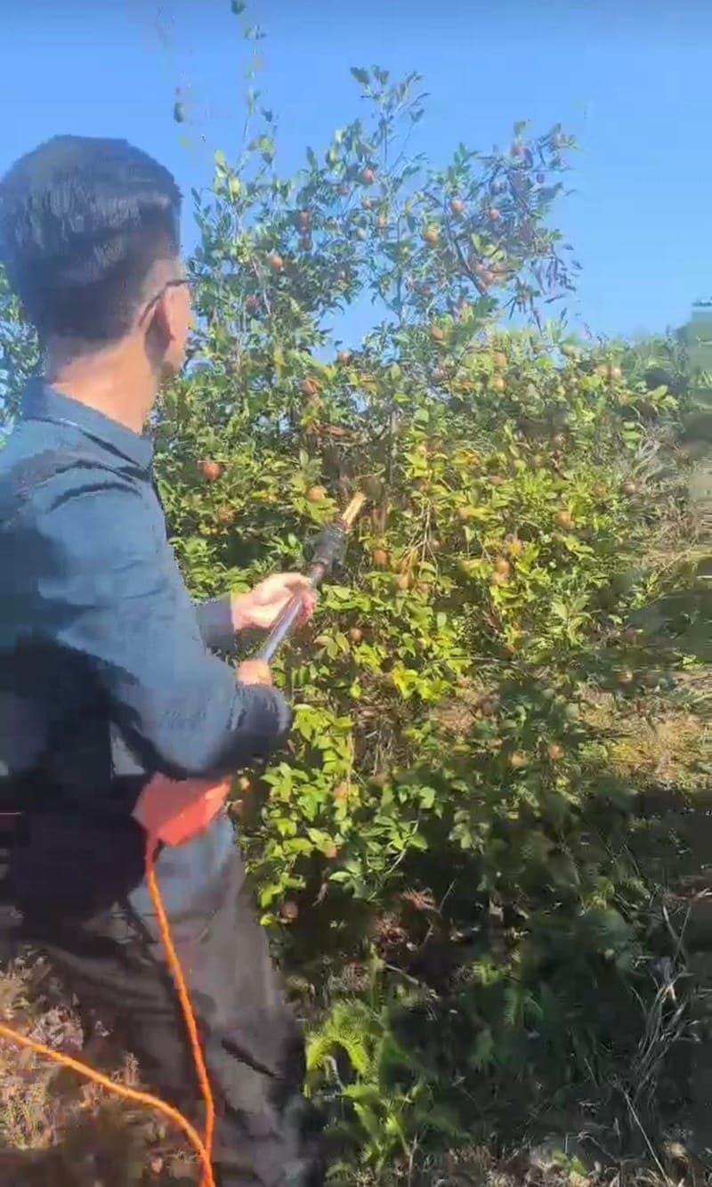 Versatile crop application with electric fruit harvester